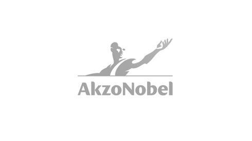 AKZO NOBEL
