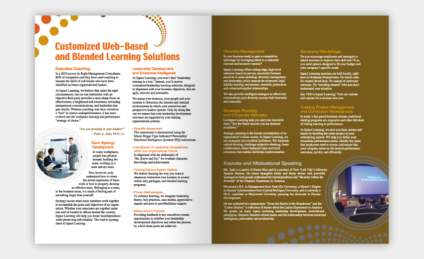 B2B Professional Services Brochure Spread Three