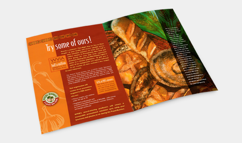 Non-Profit Fundraising Brochure