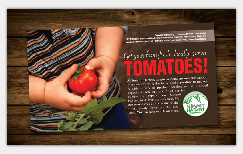 Monthly Direct Mail Program