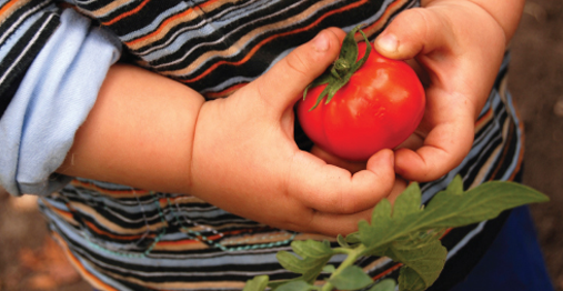 Produce Sales And Marketing Feature Image